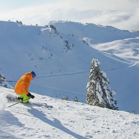 Les Chevruls Morzine